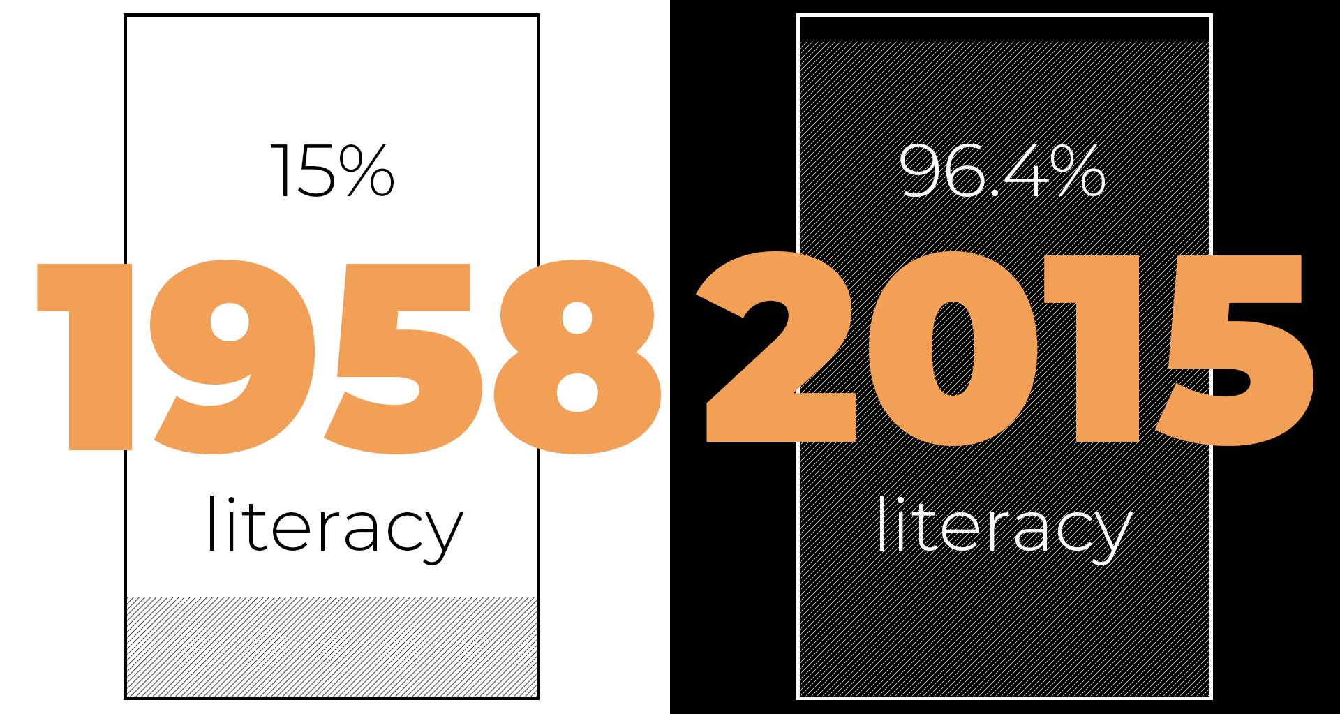 visual depiction of the changing literacy rates from 1958 to 2015